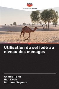 bokomslag Utilisation du sel iodé au niveau des ménages