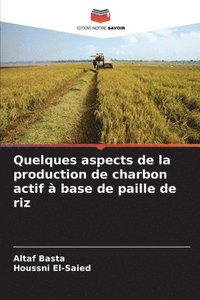 bokomslag Quelques aspects de la production de charbon actif à base de paille de riz