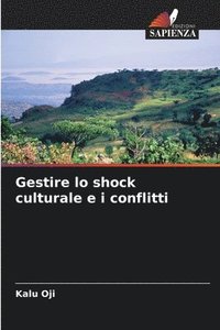 bokomslag Gestire lo shock culturale e i conflitti