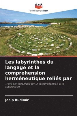 bokomslag Les labyrinthes du langage et la compréhension herméneutique reliés par