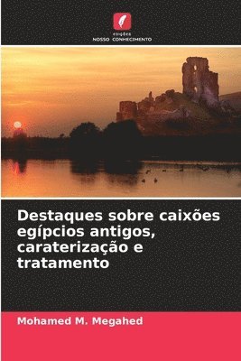bokomslag Destaques sobre caixões egípcios antigos, caraterização e tratamento