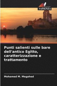 bokomslag Punti salienti sulle bare dell'antico Egitto, caratterizzazione e trattamento