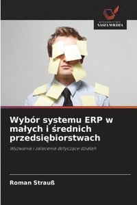 bokomslag Wybór systemu ERP w malych i ?rednich przedsi?biorstwach