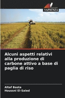 Altaf Basta, Houssni El-Saied - Alcuni aspetti relativi alla produzione di carbone attivo a base di paglia di riso, Häftad