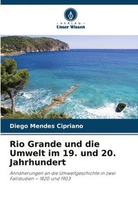 bokomslag Rio Grande und die Umwelt im 19. und 20. Jahrhundert
