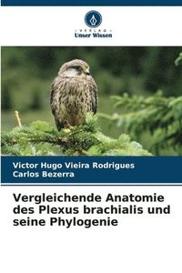 bokomslag Vergleichende Anatomie des Plexus brachialis und seine Phylogenie