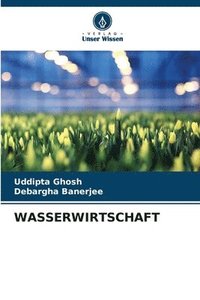 bokomslag Wasserwirtschaft