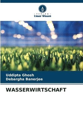 bokomslag Wasserwirtschaft
