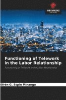 bokomslag Functioning of Telework in the Labor Relationship