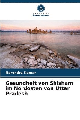 bokomslag Gesundheit von Shisham im Nordosten von Uttar Pradesh