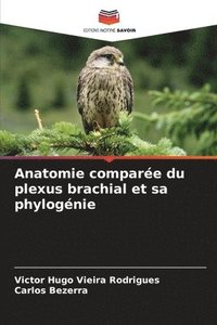 bokomslag Anatomie comparée du plexus brachial et sa phylogénie