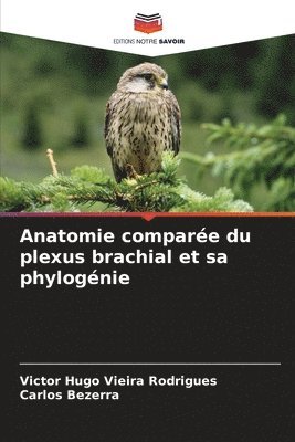 bokomslag Anatomie comparée du plexus brachial et sa phylogénie