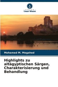 bokomslag Highlights zu altägyptischen Särgen, Charakterisierung und Behandlung