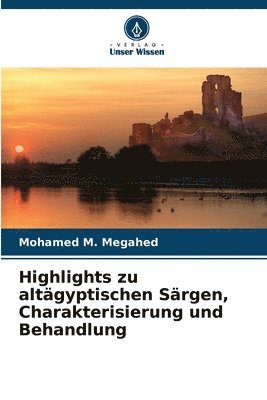 bokomslag Highlights zu altägyptischen Särgen, Charakterisierung und Behandlung
