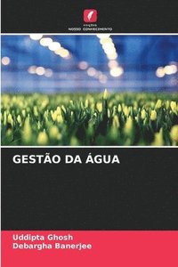bokomslag Gestão Da Água