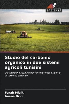 bokomslag Studio del carbonio organico in due sistemi agricoli tunisini