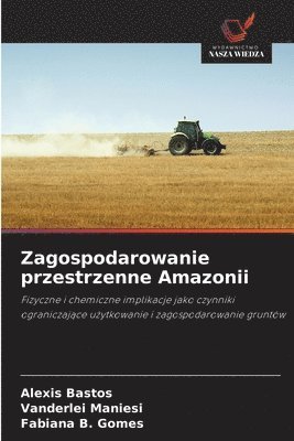 bokomslag Zagospodarowanie przestrzenne Amazonii