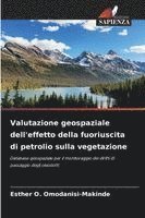 bokomslag Valutazione geospaziale dell'effetto della fuoriuscita di petrolio sulla vegetazione