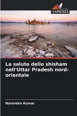 bokomslag La salute dello shisham nell'Uttar Pradesh nord-orientale