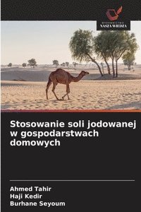 bokomslag Stosowanie soli jodowanej w gospodarstwach domowych