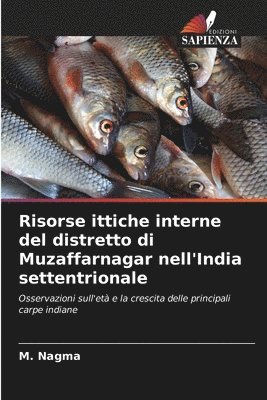 bokomslag Risorse ittiche interne del distretto di Muzaffarnagar nell'India settentrionale