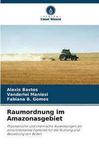 bokomslag Raumordnung im Amazonasgebiet