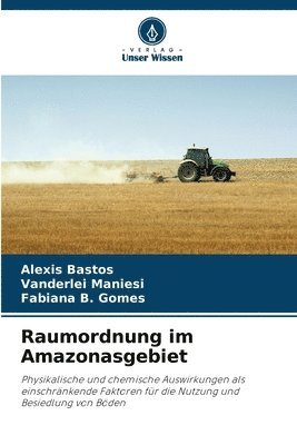 bokomslag Raumordnung im Amazonasgebiet