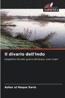 bokomslag Il divario dell'Indo