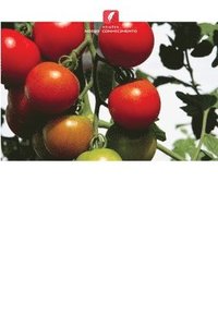 bokomslag Enxertia de tomate para melhorar o rendimento e a qualidade na Tanzânia