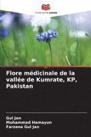 bokomslag Flore médicinale de la vallée de Kumrate, KP, Pakistan