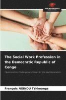 bokomslag The Social Work Profession in the Democratic Republic of Congo