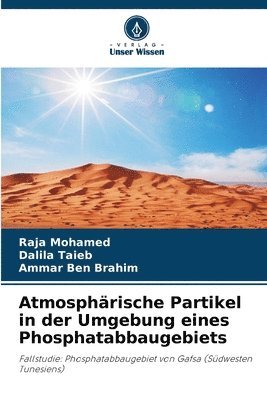 bokomslag Atmosphärische Partikel in der Umgebung eines Phosphatabbaugebiets