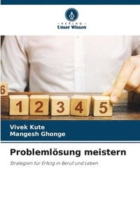 bokomslag Problemlösung meistern