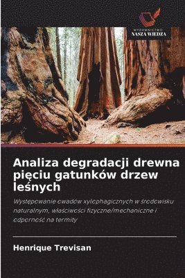 bokomslag Analiza degradacji drewna pi?ciu gatunków drzew le?nych