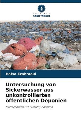 bokomslag Untersuchung von Sickerwasser aus unkontrollierten öffentlichen Deponien