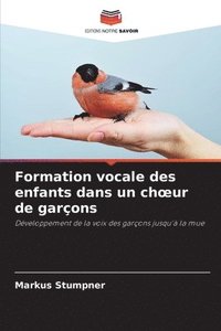 bokomslag Formation vocale des enfants dans un choeur de garçons