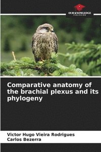bokomslag Comparative anatomy of the brachial plexus and its phylogeny