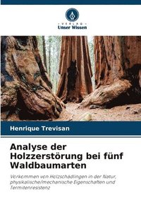 bokomslag Analyse der Holzzerstörung bei fünf Waldbaumarten