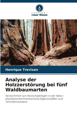bokomslag Analyse der Holzzerstörung bei fünf Waldbaumarten