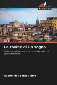 bokomslag rovine di un sogno
