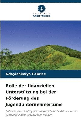 bokomslag Rolle der finanziellen Untersttzung bei der Frderung des Jugendunternehmertums