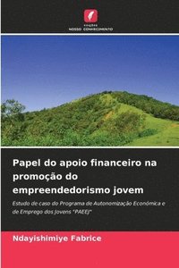 bokomslag Papel do apoio financeiro na promoção do empreendedorismo jovem