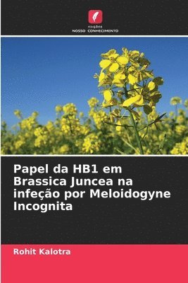 Papel da HB1 em Brassica Juncea na infeção por Meloidogyne Incognita 1