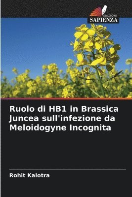 bokomslag Ruolo di HB1 in Brassica Juncea sull'infezione da Meloidogyne Incognita