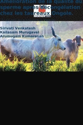 Amélioration de la qualité du sperme après décongélation chez les taureaux Ongole.