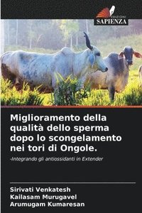 bokomslag Miglioramento della qualit dello sperma dopo lo scongelamento nei tori di Ongole.