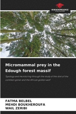 Micromammal prey in the Edough forest massif 1