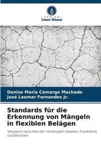 bokomslag Standards für die Erkennung von Mängeln in flexiblen Belägen