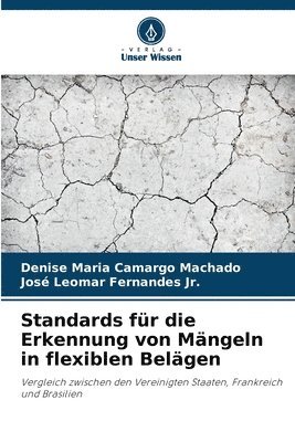 bokomslag Standards fr die Erkennung von Mngeln in flexiblen Belgen