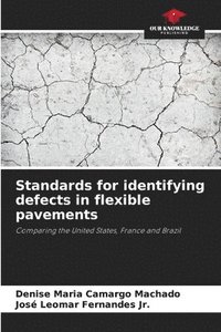 bokomslag Standards for identifying defects in flexible pavements